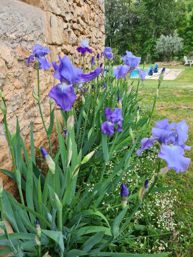 Domaine De La Queyrie Villa Sarlat Exterior foto