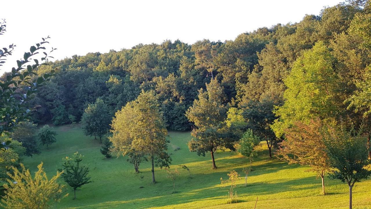 Domaine De La Queyrie Villa Sarlat Exterior foto